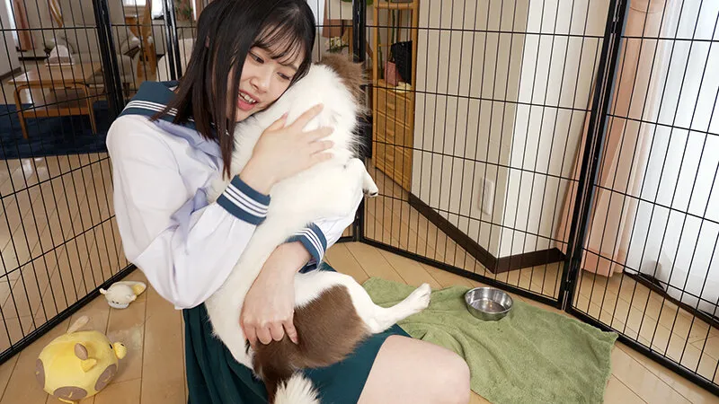 PIYO-205 When I was reincarnated, I was a dog (of an angelic busty schoolgirl), screenshot 1