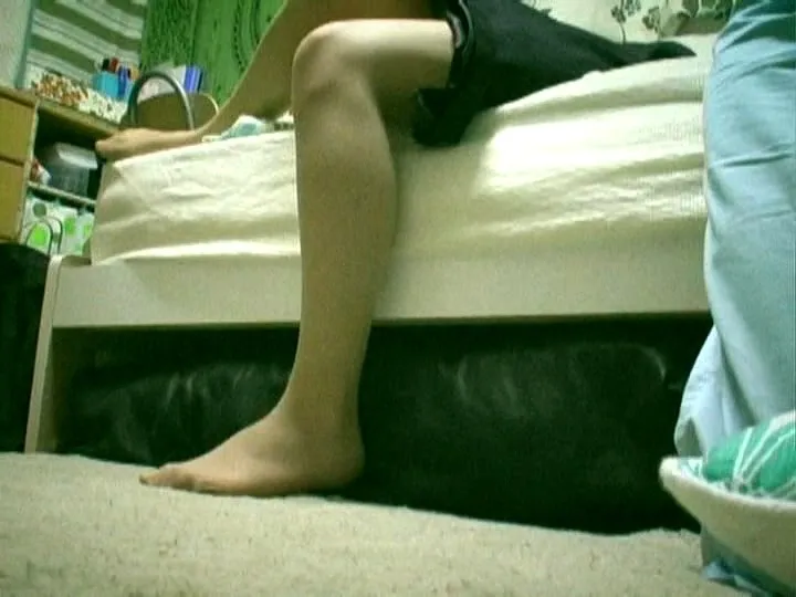 C-1478 Prank Mansion 041, screenshot 4